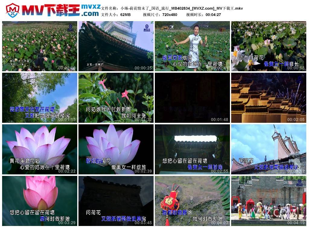 小琢-荷花情未了_国语_流行_MB402834